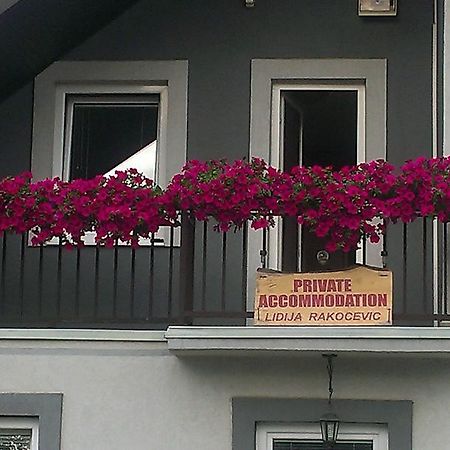 Private Accommodation Lidija Rakocevic Колашин Екстер'єр фото